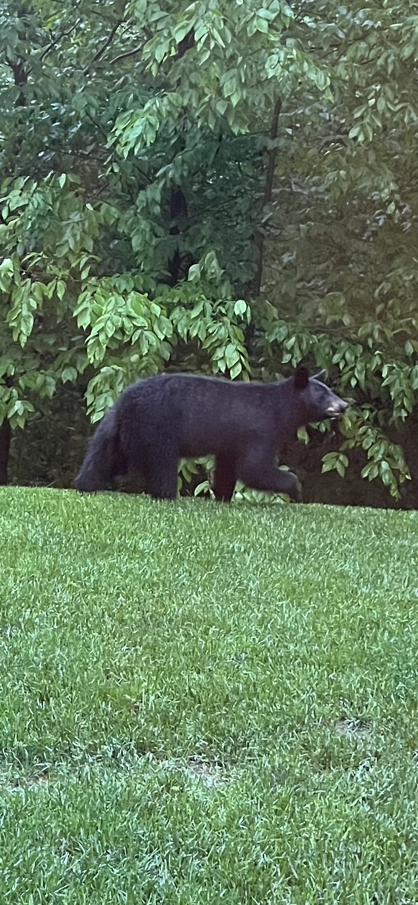 Finding, Setting, Keeping Your&nbsp;Bearings