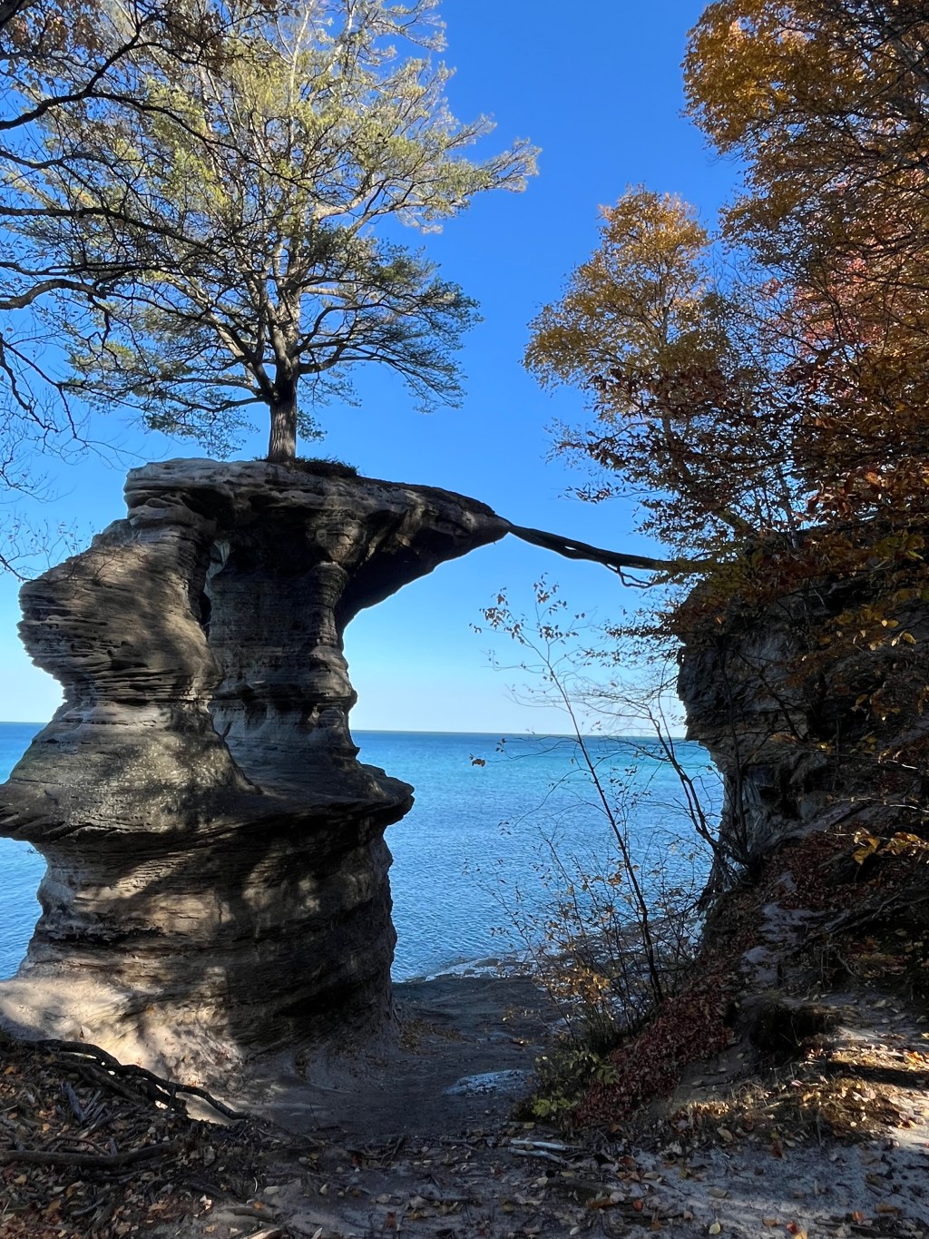 You better, you better, you&nbsp;bet